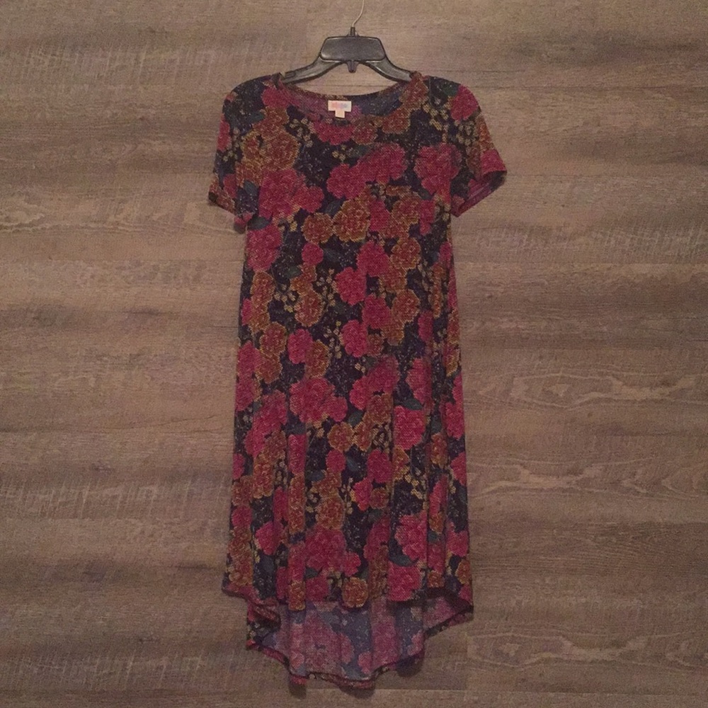 NWOT LuLaRoe Carly Dress